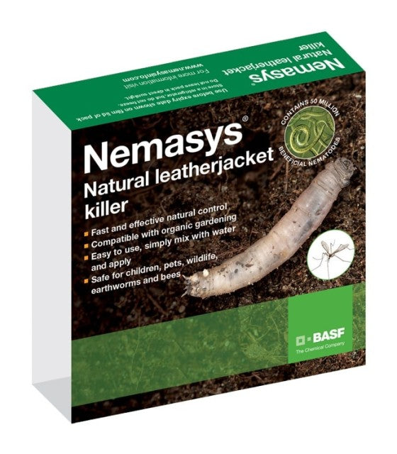 Leatherjacket Nematodes 100 Sqm