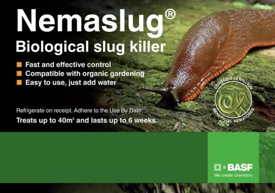 Nemaslug Slug Nematodes For Slug Control In Gardens