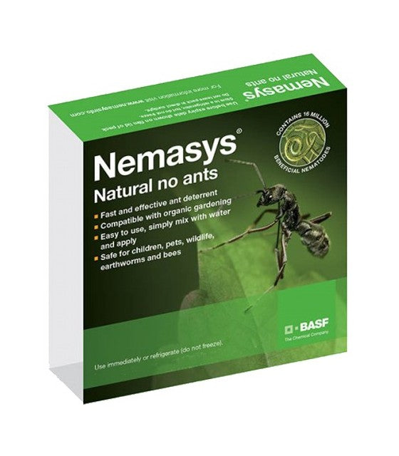 Ant Nematodes Control for 50 Nest Infestations